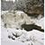 Debbie Westfall Smiley's profile image