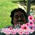 Barbara Wrenn's profile image