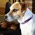 Paul Forti's profile image