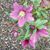 Dianne Spary Burgess's profile image