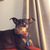Leigh Anne Manter's profile image