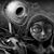 Christopher Prang's profile image