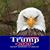Doug Hanna's profile image