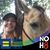 Shannon Felcher's profile image