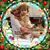 Judy Miksch's profile image