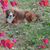 Kathi Holder's profile image
