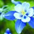 Dusti Austin's profile image