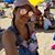 Genesis Sanchez Sanchez's profile image