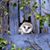 Kathy McCabe's profile image