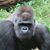 Kevin Cooper's profile image