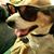Doug Barnes's profile image