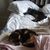 Carol Tedeschi's profile image