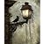 Sherrie McCall's profile image