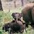 Dorrie Riley's profile image