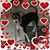 Stephanie Micki Chavira's profile image