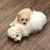 Priscilla Isham's profile image