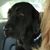 Shari Pendleton's profile image