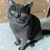 Pook Konpanich's profile image