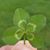 Brett Kasperski's profile image