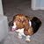 Keith Kircher's profile image