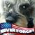Kathleen Francis's profile image