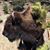 Don Wilcox's profile image