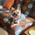 Robbin E. Hendren's profile image