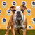 Terry Weaver's profile image