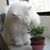Gaspard Lin's profile image