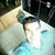 Hossein Ebrahimi's profile image