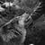 Kristy Anna Ellis's profile image