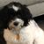 Phyllis Eaton Watson's profile image