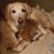 Gina Schnacker's profile image