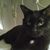 Erin Moyer's profile image