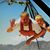 Tracy Hermann's profile image