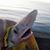 Willie VonDrago's profile image