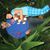 Alberto Brito's profile image