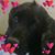 Mara Lodi's profile image