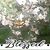 Heather Searfoss's profile image