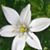 Kay Farmer's profile image