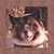Tracey Glasson's profile image