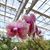 Sandy McLarrin's profile image