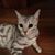 Patricia Geanacopoulos's profile image