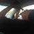 Candido Arevalo's profile image