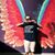 Emmanuel Ramos's profile image