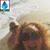 Alicia Tucker's profile image