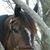 Heather Moore's profile image