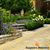 Salguero Masonry's profile image