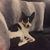 Gina Nelson's profile image