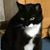 Jolean Hart's profile image